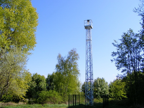 Foto: G.Liedtke 2011