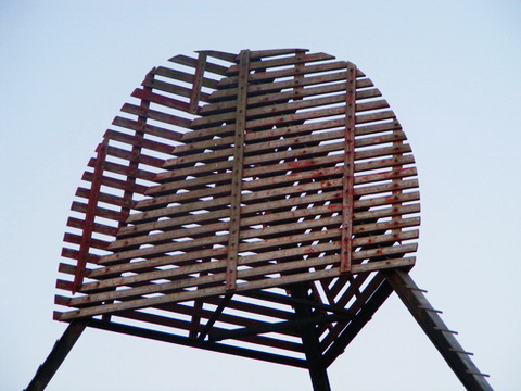 Foto: G. Liedtke 2012