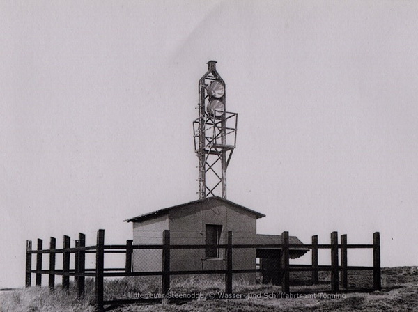 1981