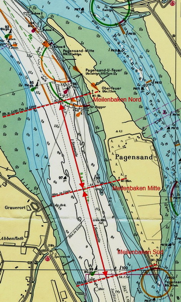 1981
